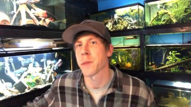 Fish for 30 gallon Aquarium? Stocking Ideas? смотреть онлайн