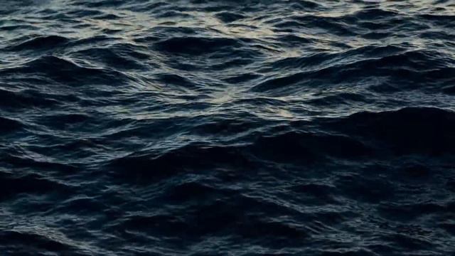 The 7 Days of Calm | Day 5 : Awareness | Meditation смотреть онлайн