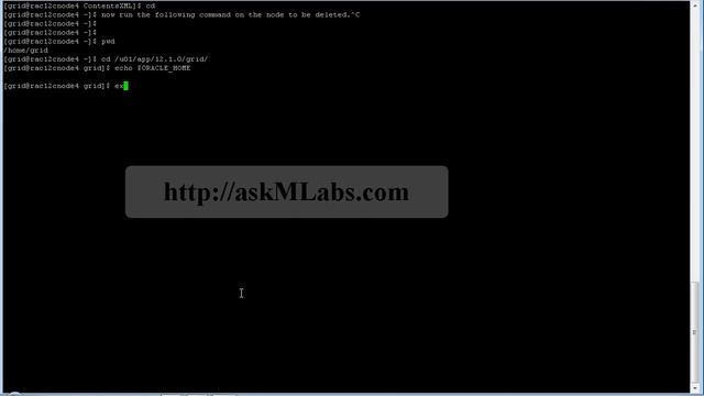 rac : deleting leaf node from flex cluster 12101 смотреть онлайн