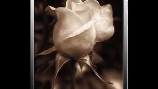 БУМАЖНЫЕ ЦВЕТЫ смотреть онлайн