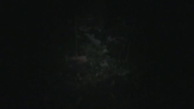 Звуки природы смотреть онлайн