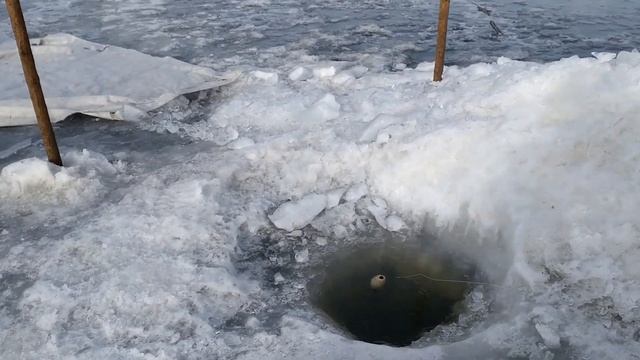 БОЛЬШОЙ ЛЕНОК - МНЕ НЕ ФОРТАНУЛО. Зимняя рыбалка на амуре 2021 смотреть онлайн