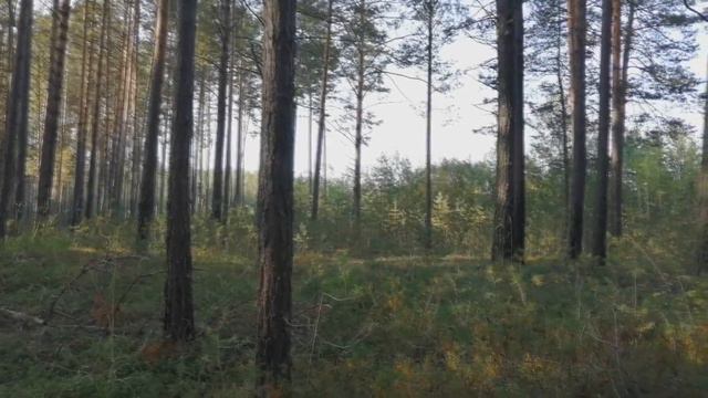 Енисейск 2019. Последний день лета. смотреть онлайн