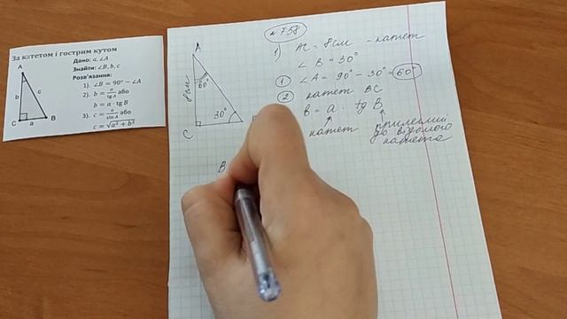 Розв'язування прямокутних трикутників за катетом і гострим кутом. Приклад