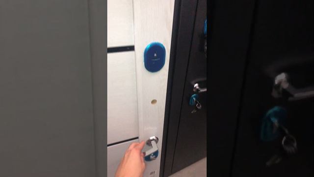 IMG 0600 смотреть онлайн