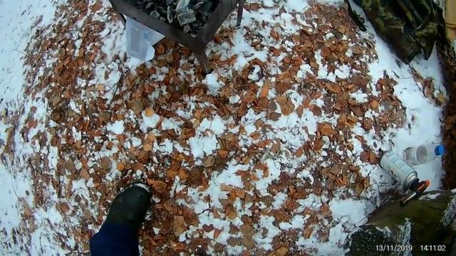 Обед в лесу  Лесные зарисовки  Скумбрия