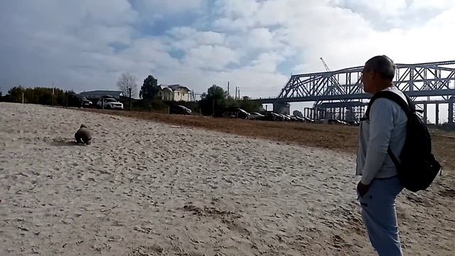 Новый пляж на реке Ока и День Города. Сентябрь 2023. смотреть онлайн