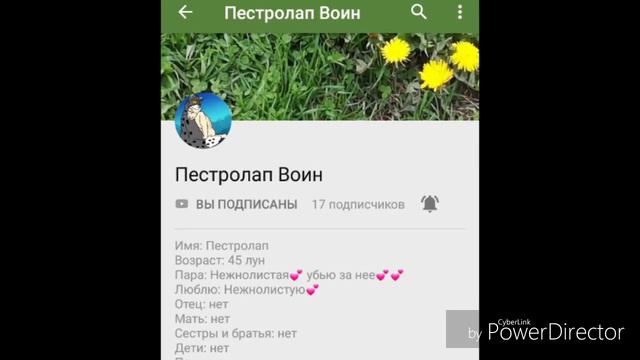 пиар ))*чип.оп.* смотреть онлайн