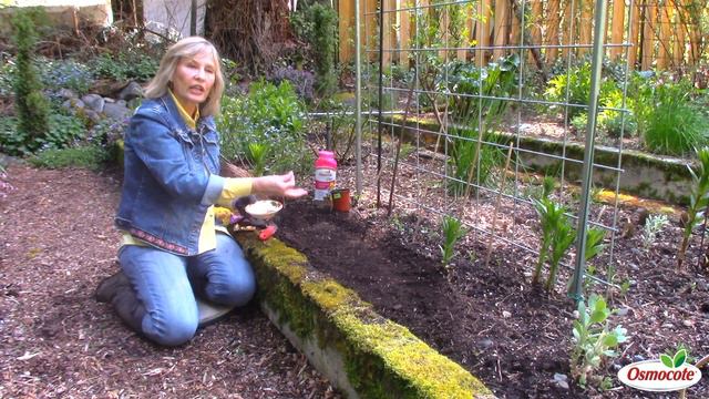 Planting Carrots: Tips and Tricks смотреть онлайн