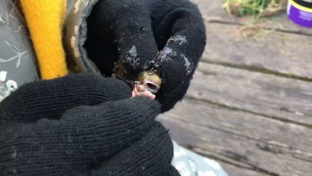 Рыбалка в Кольском заливе смотреть онлайн