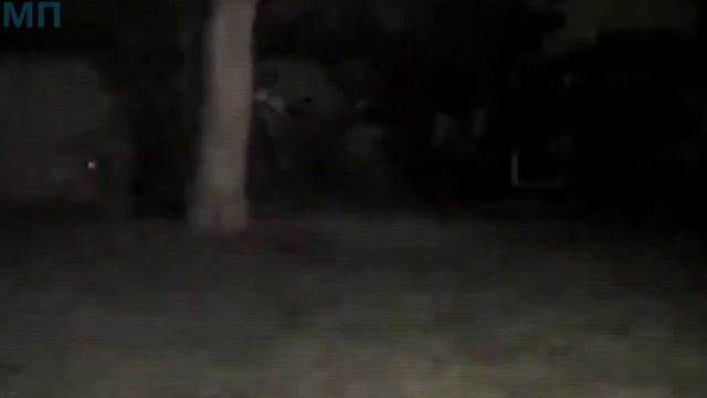 7 РЕАЛЬНЫХ ЗОМБИ СНЯТЫХ НА КАМЕРУ смотреть онлайн