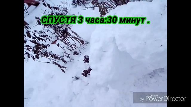 Снежный форт.серия # 1. Делаем фундамент смотреть онлайн