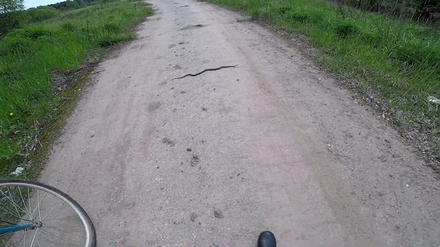 Дед подсказал где лежал металл/Змея пригрелась/Странный мужик в воде! смотреть онлайн