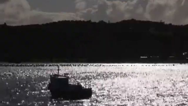 Skorpios Cruises in Patagonia Chile смотреть онлайн