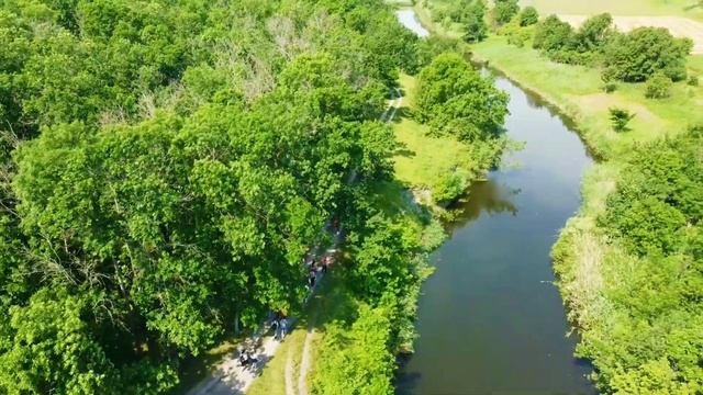 Новомосковский лес - 13.06.2020 смотреть онлайн