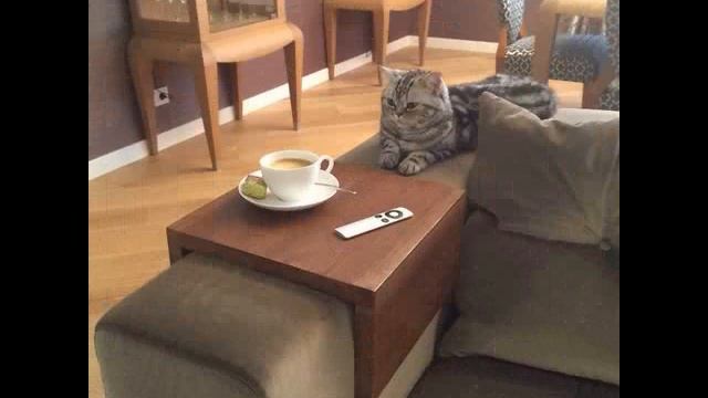 Столики на подлокотник дивана или кресла смотреть онлайн