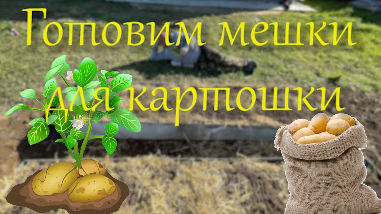 Наводим порядок на участке.mp4 смотреть онлайн