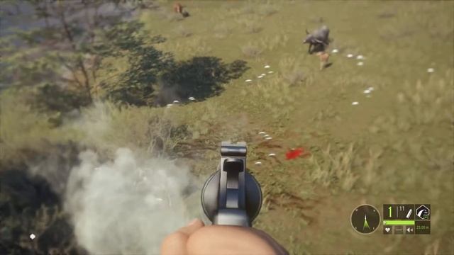 Quick Way to Gain Handgun Score | theHunter Call of the Wild смотреть онлайн