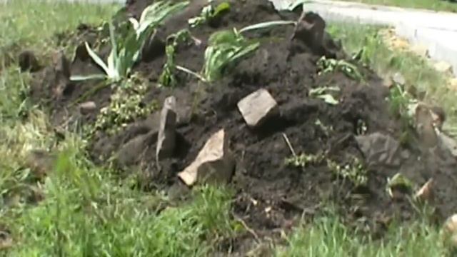 ОРЕЛ АТАКУЮТ МОГИЛЫ? смотреть онлайн