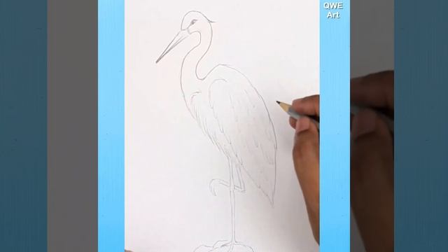 Perfect Heron Bird Drawing