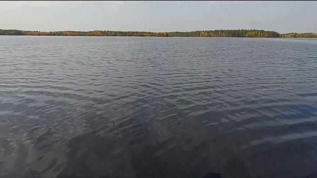 Рыбалка в диких местах  тайги. Ловля крупного окуня на донку