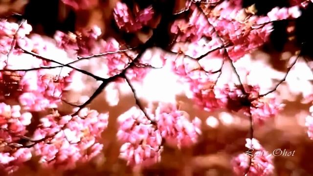 ღ Японский саксофон ღ смотреть онлайн