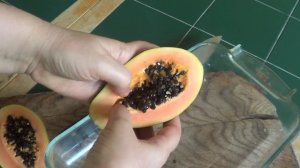 Папайя и ее семена, как выглядит