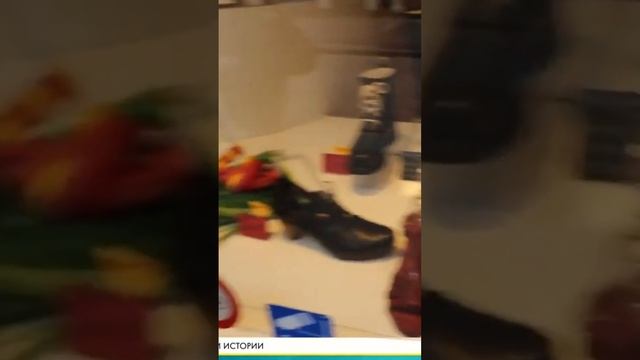 ГДЕ НАХОДИТСЯ РОДИНА ТЮЛЬПАНОВ #shorts #zagadkiistorii #тюльпан смотреть онлайн