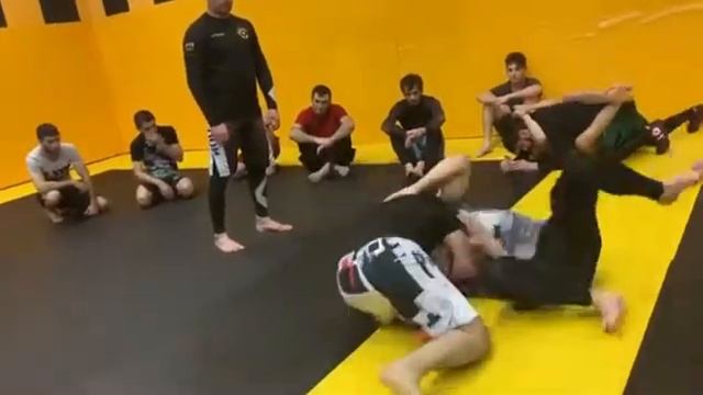 Мастеркласс клуб мма зебра Москва