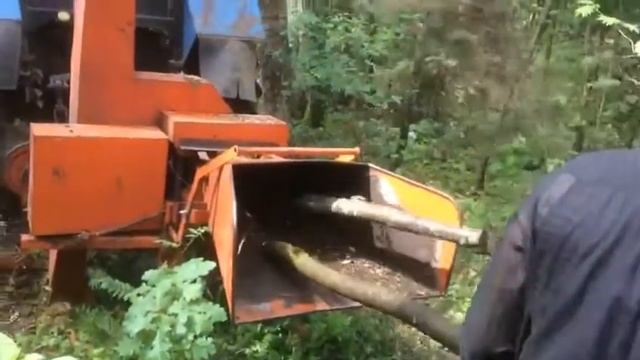 21 июля 2020 г. смотреть онлайн
