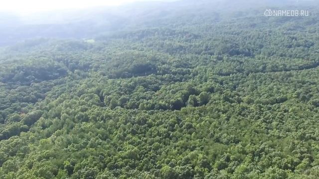 Совместимость Скорпионов со всеми знаками Зодиака смотреть онлайн