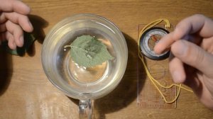 как определить сторону света без компаса