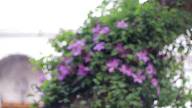 Цветы Богородицы. Курский Свято-Троицкий монастырь смотреть онлайн