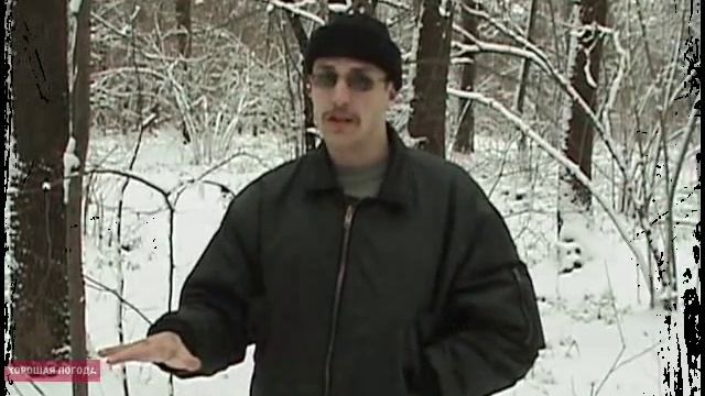 Как не потеряться в лесу смотреть онлайн