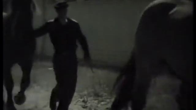 Владимирские тяжеловозы 1957 год смотреть онлайн
