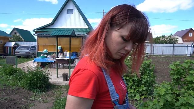 VLOG / DIY в огороде / Собрали листья смородины смотреть онлайн