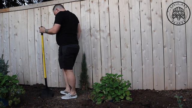 Planting a few Endless Summer Hydrangea 🪴 смотреть онлайн