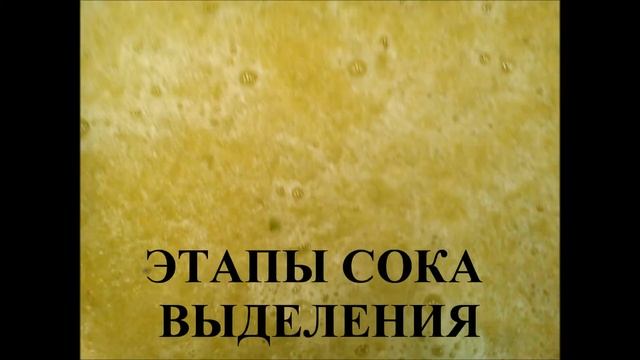 Сок дыни смотреть онлайн
