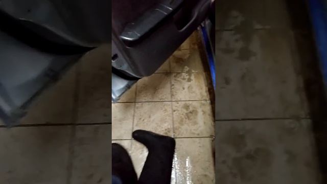 Прокачка Форика продолжается)) смотреть онлайн