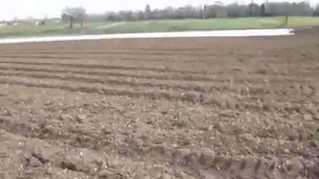 Metal Detecting With The Eurotek Pro