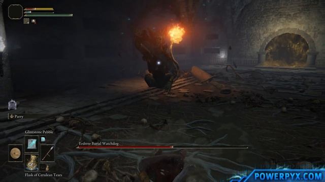 Elden Ring - Erdtree Burial Watchdog Boss Fight & Location смотреть онлайн