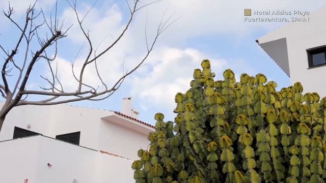 LABRANDA PUERTO CALETA 2* Испания, Фуэртевентура - обзор отеля смотреть онлайн