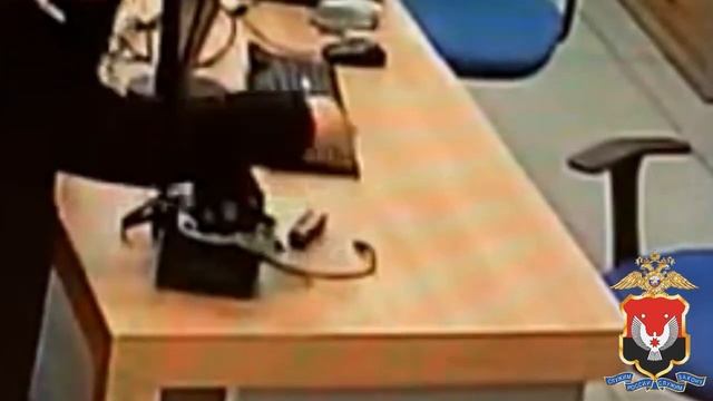 В Ижевске полицейскими задержан подозреваемый в краже видеокамеры из банка смотреть онлайн