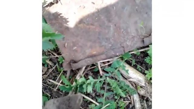 добиваю домовые ямы, смотреть онлайн