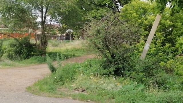История застройки Новой Слободки и улица Парижской Коммуны как её часть в Оренбурге смотреть онлайн