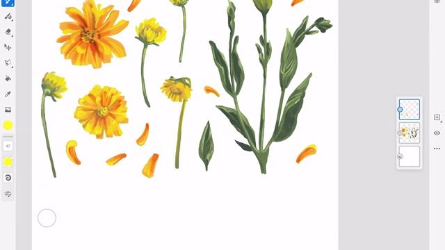 Рисую оранжевые цветы на iPad Pro в приложении Adobe Fresco смотреть онлайн