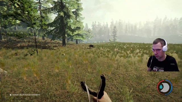 The Forest #2 смотреть онлайн