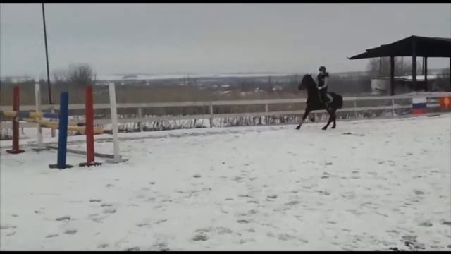 Конный Двор. Зимние тренировки смотреть онлайн