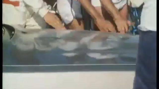 Test 50 000 Kms NON-Stop Mercedes 190E 2-3 16V M102