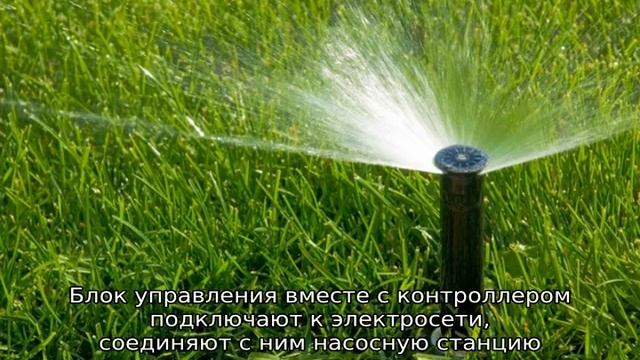 Автоматический полив газона: описание, оборудование, как сделать смотреть онлайн